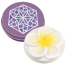 Taoasis Mini Duftstein Frangipani 10 Stück