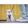 Wolters Professional Comfort Hundegeschirr rost rot 70-85 cm