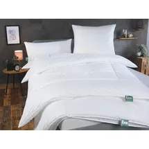 fan f.a.n. First Class 135 x 200 cm