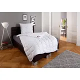 MY HOME Microfaserbettdecke MY HOME "Fantasy, Bettdecke 135x200 cm, 155x220 cm, 200x200 cm, 200x220 cm", weiß, B:135cm L:200cm, Bezug: 100% Baumwolle. Füllung: 100% Polyester, Bettdecken, Microfaserbettdecke, Bettdecken, in 3 Bezugsqualitäten für Sommer, Winter