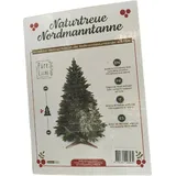 PURE LIVING INTERIOR DESIGN Künstlicher Weihnachtsbaum Grün 220 cm