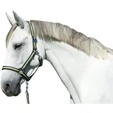 Covalliero Nylonhalfter Hippo, Foal anthrazit/lemon