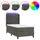 vidaXL Boxspringbett 100 x 200 cm Dunkelgrau