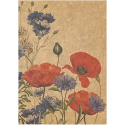 Home Fashion®, Grußkarte "Wild Poppies", Grußkarte mit Umschlag zum Beschreiben, 1 Stück pro Pack