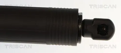 TRISCAN 871014302 für NISSAN