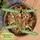 Lyra Pet 72 x 85 g Lecker.Pet® Surf'n'Turf Pouches Katzenfutter in feiner Jelly Nassfutter 4er Mix Multipack