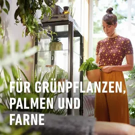Compo Zimmerpflanzenerde 40 l