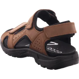 ECCO Onroads Herren cocoa brown/black 42