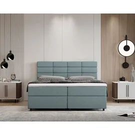 panda möbel Boxspringbett 140 x 200 cm Hellblau