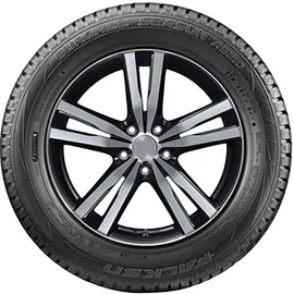 Falken Euroall Season AS210 255/55 R19 111V XL