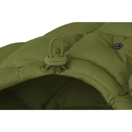 Cybex Snøgga Mini 2 Nature Green, Grün
