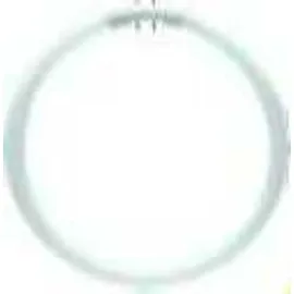 Philips Master TL5 Circular 22W/830 2GX13