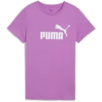 Puma Unisex ESS No. 1 Logo Tee (s) T-Shirts, Wild Berry, M