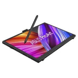 Asus ProArt PA169CDV 15,6" schwarz