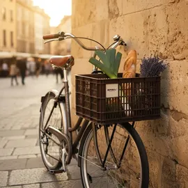 Basil Crate Fahrradkorb braun