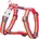 Red Dingo Red Dingo 45-66 cm 36-59 cm