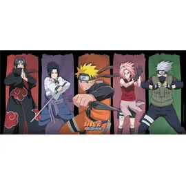 ABYstyle NARUTO SHIPPUDEN - Group