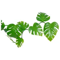 Lucky Reptile - Pothos Ranke