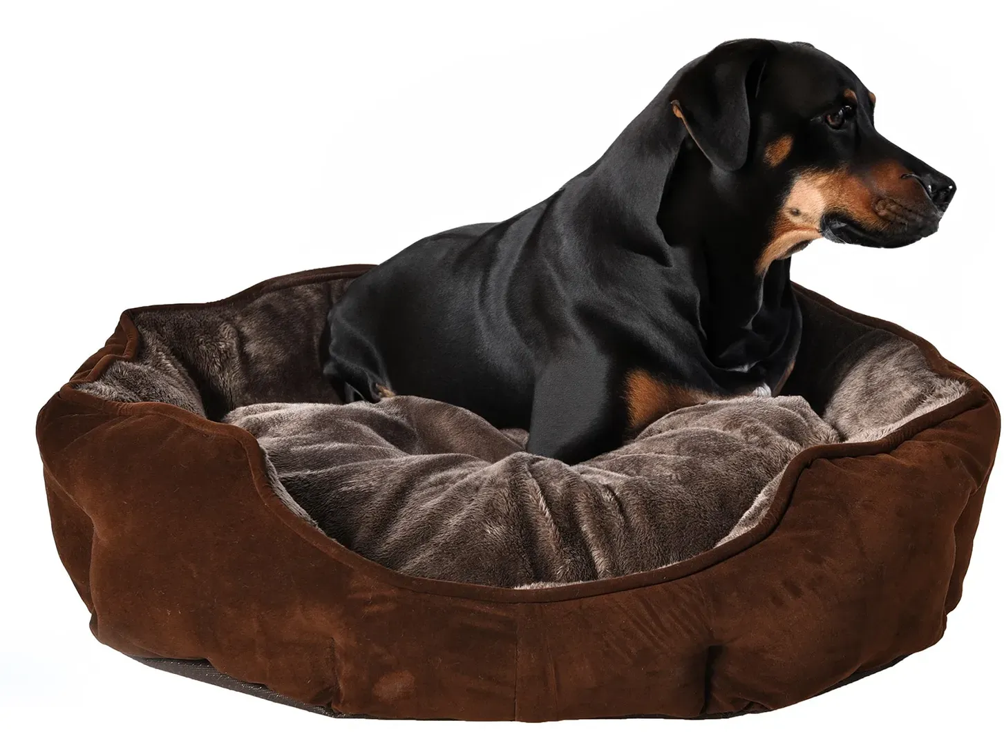 BENNO® Hundebett Hundekissen für große Hunde, Donut rund flauschig, weiche Polsterung Hundekorb rutschfest, L, 71 x 66 x 20cm