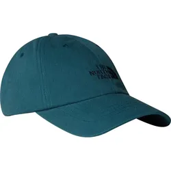 The North Face Norm Hat space/deep cypress (DI6) OS