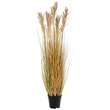 VCM ebuy24 Kunstpflanze Gras Natur 30 x 35 cm | Gr.: onesize