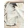 LAURA SCOTT Nickituch LAURA SCOTT, Damen, schwarz (creme, schwarz), Web, Polyester, bedruckt, geblümt, gemustert, Modetücher, mit großem Milfleur Muster
