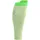 compressport R2 3.0 grün