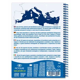 Pictolife Mediterranean Marine Führer - One Size