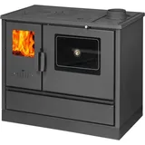 BALKAN ENERGY - Kaminofen - Ofen - Kaminöfen - Küchenofen - 4020 - 7,9Kw - Klasse A+ BImSchV - Gusseisenplatte - Schwarz