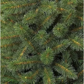 triumph tree® Triumph Tree Bristlecone Höhe: 185 cm