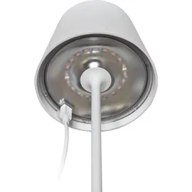 Sigor Nuindie 120 cm sonnengelb Easy-Connect