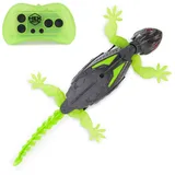 Invento HexBots Wall Crawler Gecko RC (Wandkriechender Gecko mit LED-Augen), Wall Climber