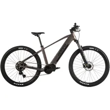 ADORE GX-750 2023 29 Zoll RH 46 cm grau