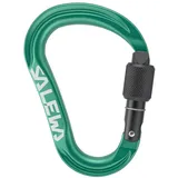 Salewa Ortles HMS-Karabiner Grün