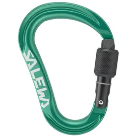 Salewa Ortles HMS-Karabiner Grün