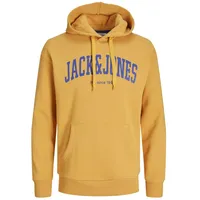 JACK & JONES JJEJOSH Sweat Hood NOOS