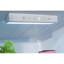 Amica KGCN 387 110 W Kühl-Gefrierkombination (231 l, 1700 mm hoch, Weiß)