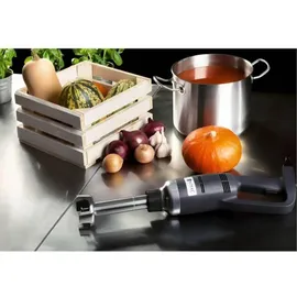 Royal Catering RCSM-350-250 Stabmixer