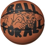 Nike Basketball Everyday Playground 8P Graphic Ball 5