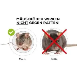Protect Home Mäuse Köderbox 1 Stück