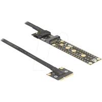 DeLock Adapter Mini PCIe Stecker zu M.2 Key M