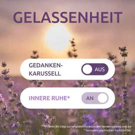 Dr. Theiss Naturwaren Dr.theiss Innere Ruhe Tabletten