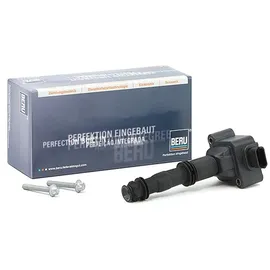 BorgWarner (Beru) Zündspule