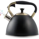 3-liter-wasserkocher Aus Edelstahl Mit Induktionsfunktion Und Automatischem Pfeifton – Retro-design Für Tee Und Kaffee