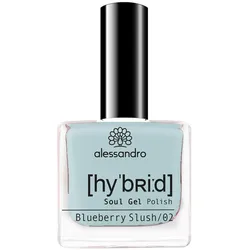 alessandro International Hybrid Blueberry Slush 8 ml