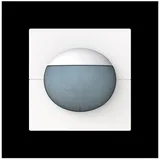 Busch-Jaeger Busch-Wächter 180 flex 64764-44M