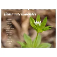 Calvendo Heilkräuterkalender (Wandkalender 2026 DIN A2 quer),
