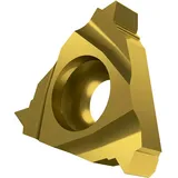 Pramet Gewindedreh-Wendeschneidplatte ISO TN 16ER140NPT:T8030 Innenkreis-D,9,525mm PVD 5