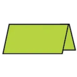 RÖSSLER Tischkarte Paperado 10x10cm maigrün 16403022 220g
