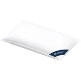 casimum Daunenkissen PREMIUM 40 x 80 cm Weiß